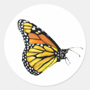 Stickers Monarch side view