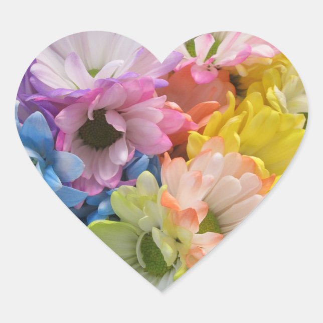 Stickers - MultiColored Daisies II (Front)