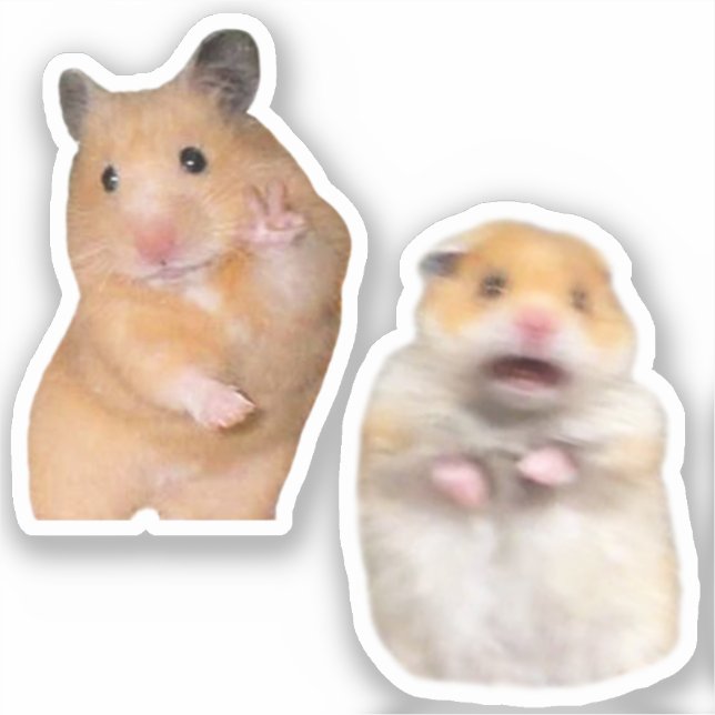 Stickers Peace + Scared Hamster Meme (Front)