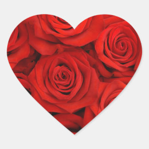 Stickers-Red Roses Heart Sticker