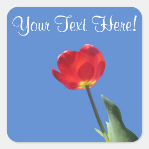Stickers - Red Tulip Blue Sky 2