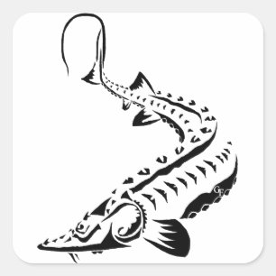 STICKERS - STURGEON - TRIBAL SHOVELNOSE