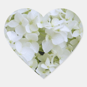 Stickers - White Hydrangea