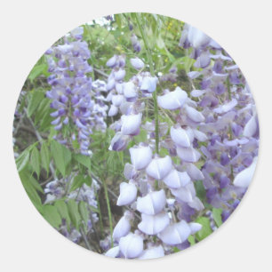 Stickers - Wisterian Jungle