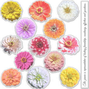 Stickers - Zinnias Collection