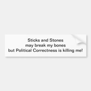 Sticks and Stones Bumper Sticker