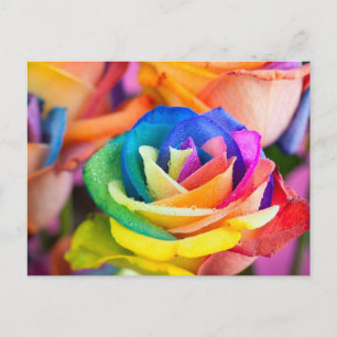 sticky postcard