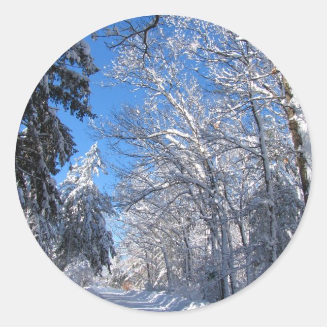 Sticky Snow 35 ~ sticker (Front)