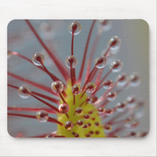 Sticky Sundew tentacles mousepad