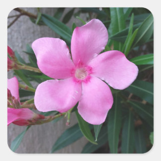 Stikers ( 20) pieces square  sticker