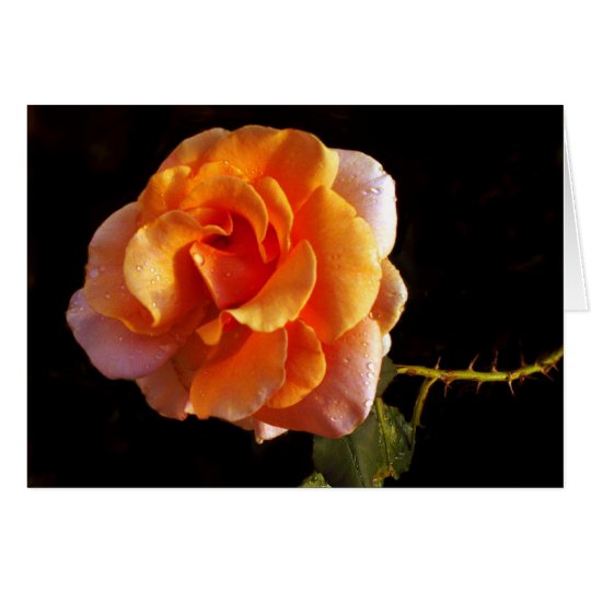 Still A Rose Card
