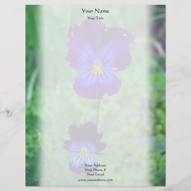 Still Alive Pansies Letterhead Template (Front)