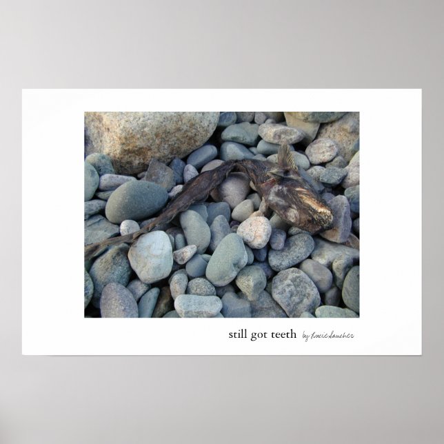 Still Got Teeth Poster (Front)