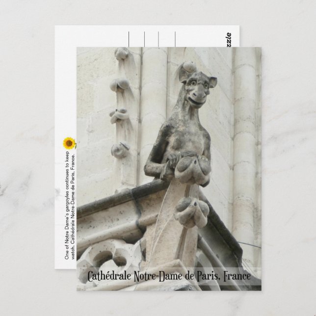 Still Keeping Watch, Cathédrale Notre-Dame -  Postcard (Front/Back)