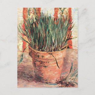 Still Life Flowerpot w Chives by Vincent van Gogh Postcard