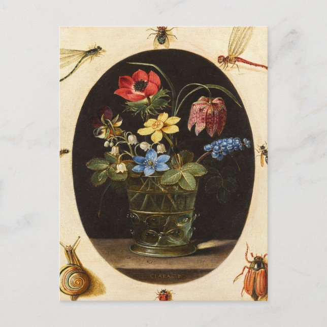 Still Life Flowers and Insects by Clara Peeters Po Postcard (Front)