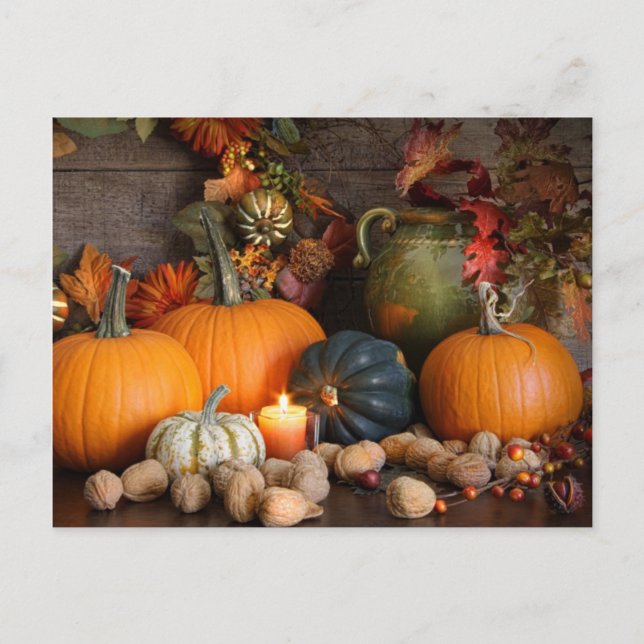 Still Life Harvest  Decoration For Thanksgiving Holiday Postcard (Front)