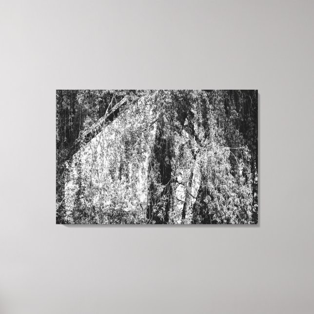 still life home canvas print (Front)