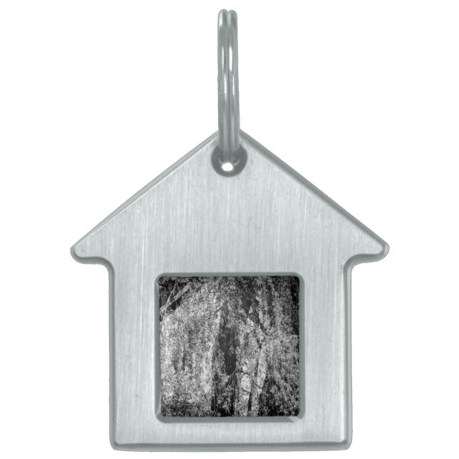 still life home pet ID tag (Front)