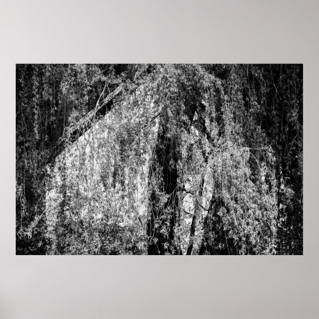 still life home poster (Front)