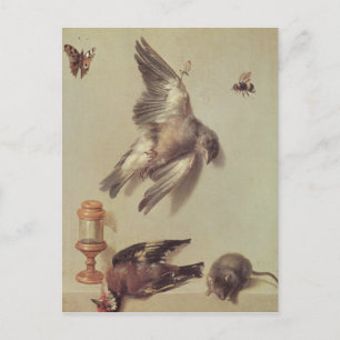Still Life of Dead Birds and a Mouse, 1712 Postcard