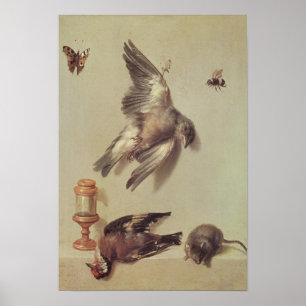 Still Life of Dead Birds and a Mouse, 1712 Poster