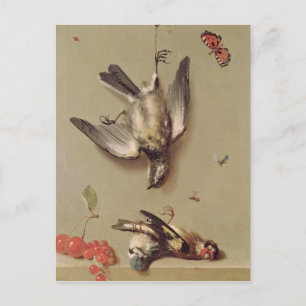 Still Life of Dead Birds and Cherries, 1712 Postcard