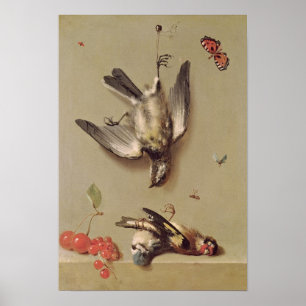 Still Life of Dead Birds and Cherries, 1712 Poster