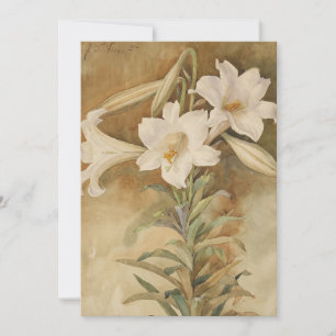 Still Life of Easter Lilies   John La Farge