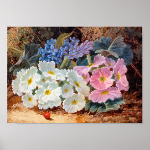 Still Life of Flowers Oliver Clare 1853 - 1927 Poster