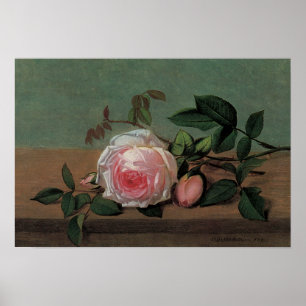 Still Life of Flowers on a Ledge Poster