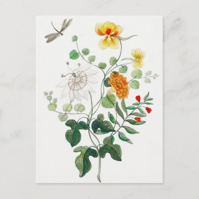 Still Life of Flowers postcard (Front)