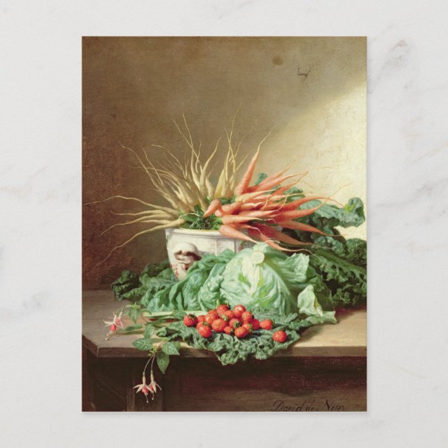 Still Life of Strawberries, Carrots and Cabbage Postcard (Front)