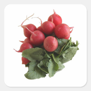 Still Life Photo of Red Radish Vegetable Square Sticker