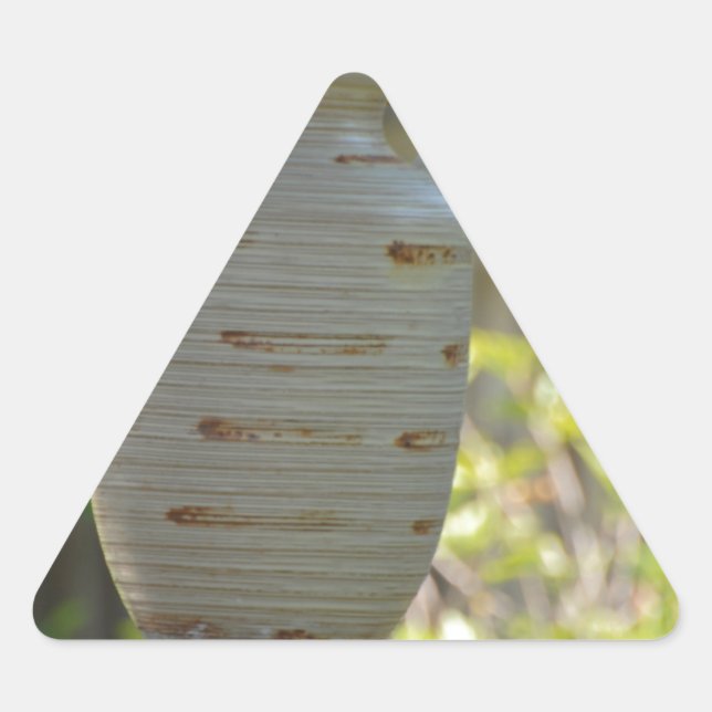 Still Life Triangle Sticker (Front)