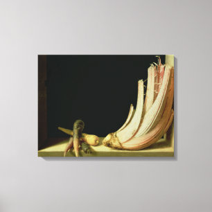 Still Life with a Cardoon Canvas Print