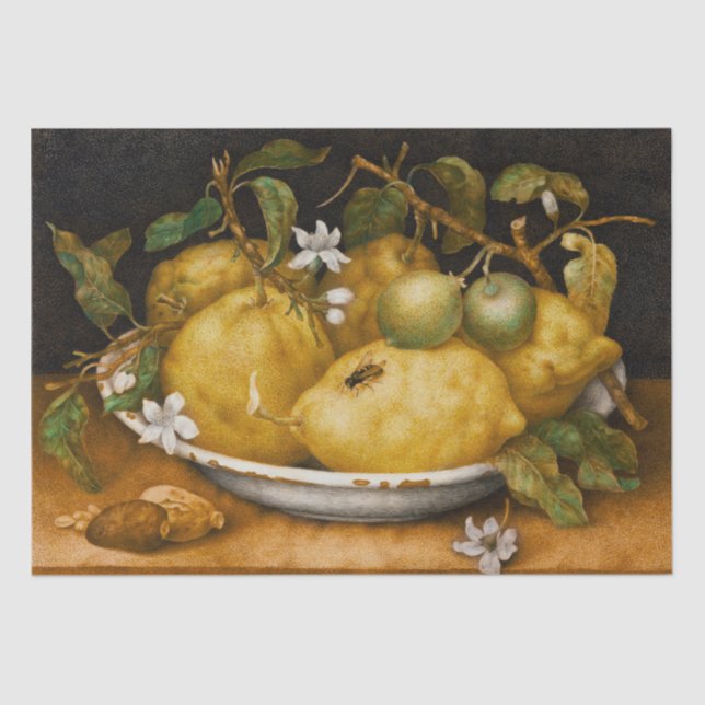 Still Life with Bowl of Citrons and Fly Garzoni Tissue Paper (Front)
