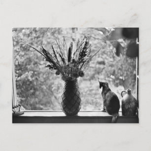 Still Life with Cat Postcard