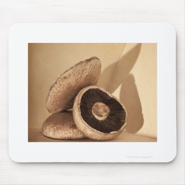 Still life with flat mushrooms and dramatic mouse mat (Front)