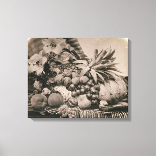 Still Life with Fruit, 1860 (sepia photo) Canvas Print