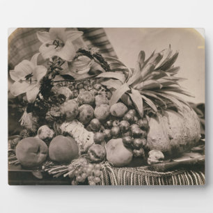 Still Life with Fruit, 1860 (sepia photo) Plaque