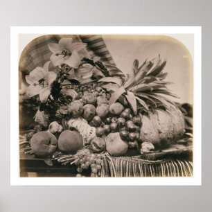 Still Life with Fruit, 1860 (sepia photo) Poster