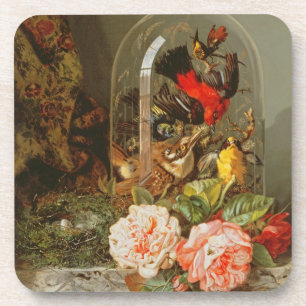 Still Life with Humming Bird in a Glass Dome Coaster