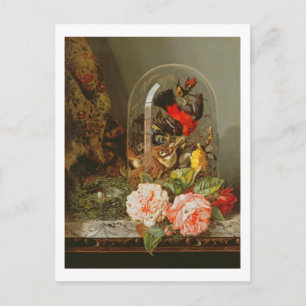 Still Life with Humming Bird in a Glass Dome Postcard