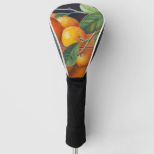 Still Life with Lemons and Orange Branch Golf Head Cover