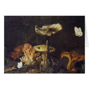 Still Life with Mushrooms and Butterflies