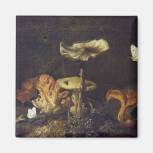 Still Life with Mushrooms and Butterflies Magnet