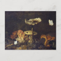 Still Life with Mushrooms and Butterflies