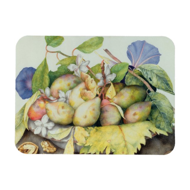 Still life with Plums, Walnuts and Jasmine (w/c on Magnet (Horizontal)