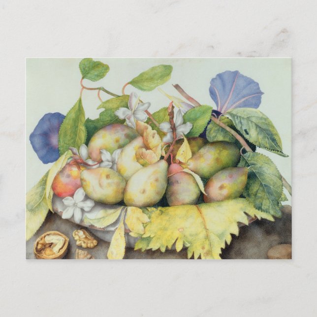 Still life with Plums, Walnuts and Jasmine (w/c on Postcard (Front)
